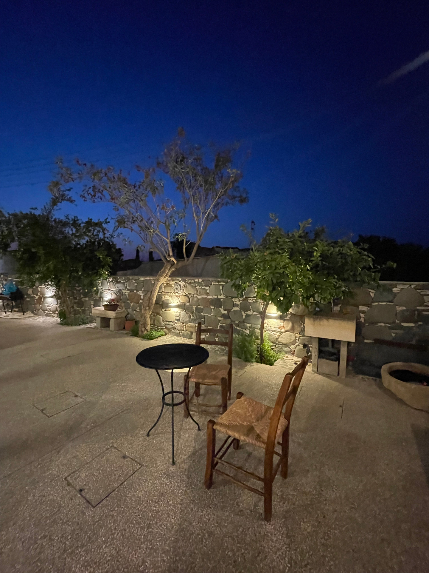 The courtyard at dusk with bistro table beneath the olive tree